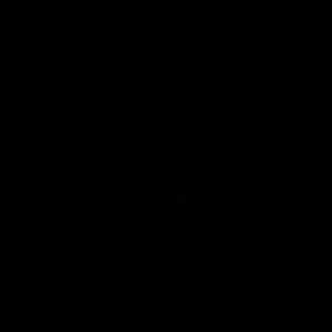 Meet your Posher, Madi